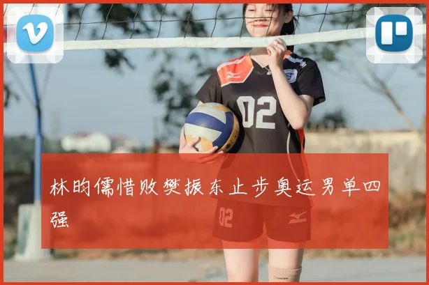 林昀儒惜败樊振东止步奥运男单四强