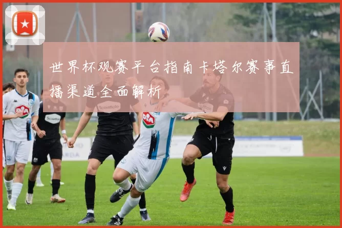 世界杯观赛平台指南卡塔尔赛事直播渠道全面解析
