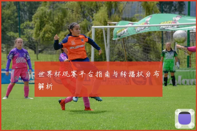 世界杯观赛平台指南与转播权分布解析