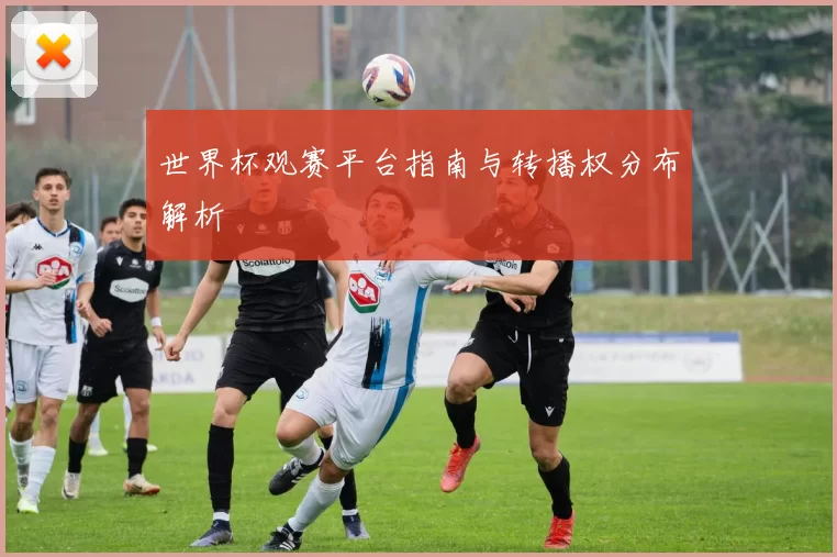 世界杯观赛平台指南与转播权分布解析