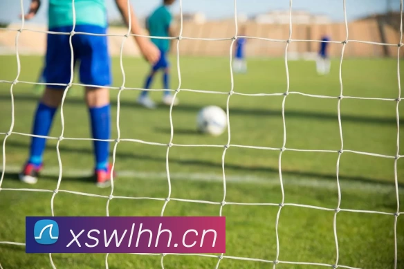 华体·官方版网站登录入口 - 华体(中国)平台生态图